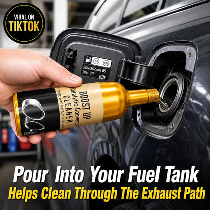 Fuel System & Catalytic Converter Cleaner