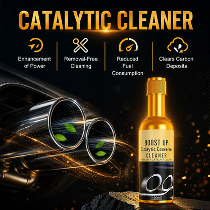 Fuel System & Catalytic Converter Cleaner