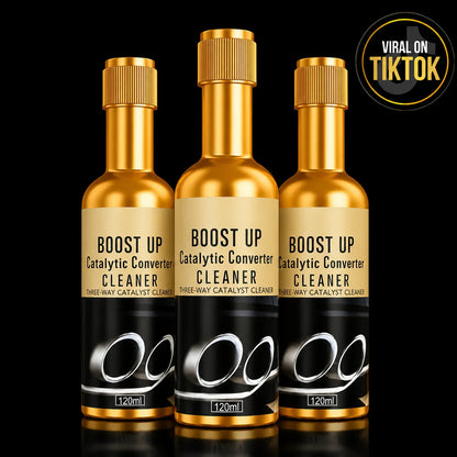 Fuel System & Catalytic Converter Cleaner